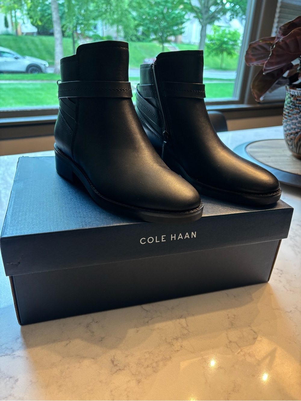 New in box! Cole Haan Rosalyn Black Leather Zip Ankle Boots